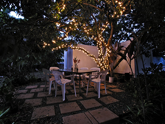 lights_under_the_lychee.jpg